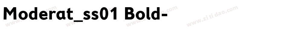 Moderat_ss01 Bold字体转换